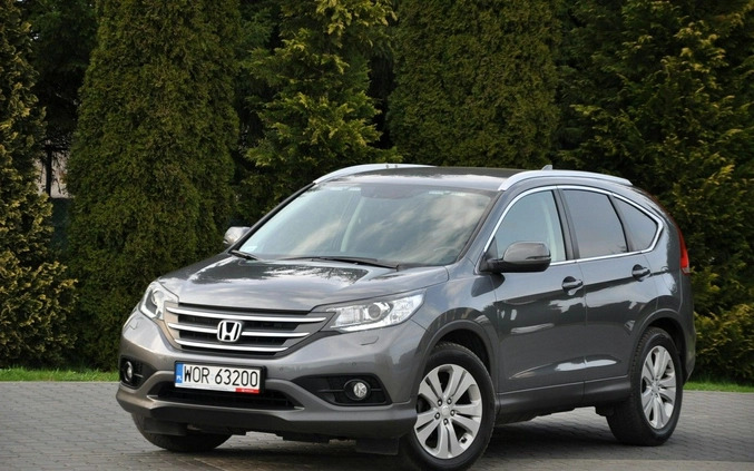 Honda CR-V cena 58900 przebieg: 233217, rok produkcji 2013 z Czerwieńsk małe 667